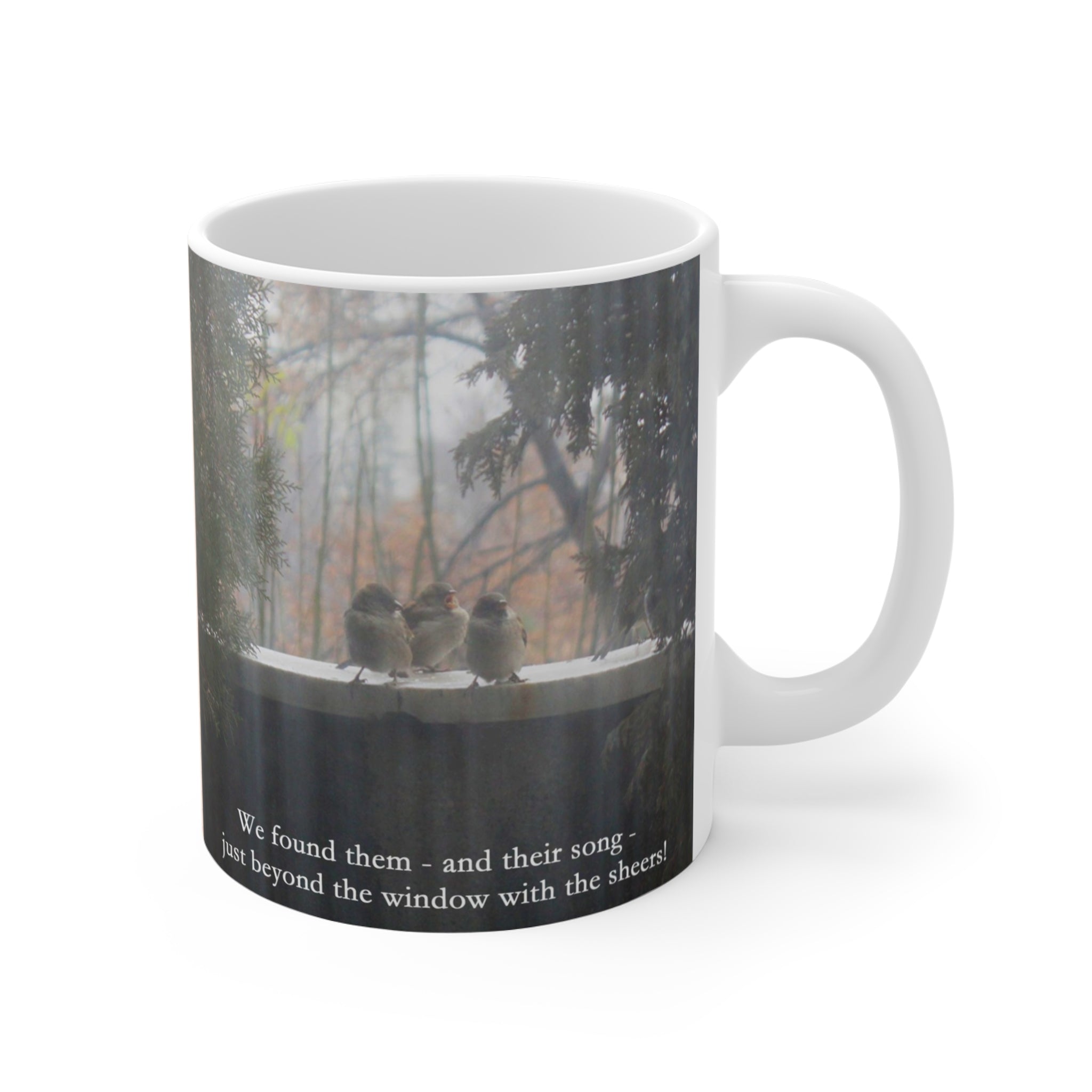 GOD WHO CARES For Sparrows Mug | Scripture Verse Luke 12:6-7