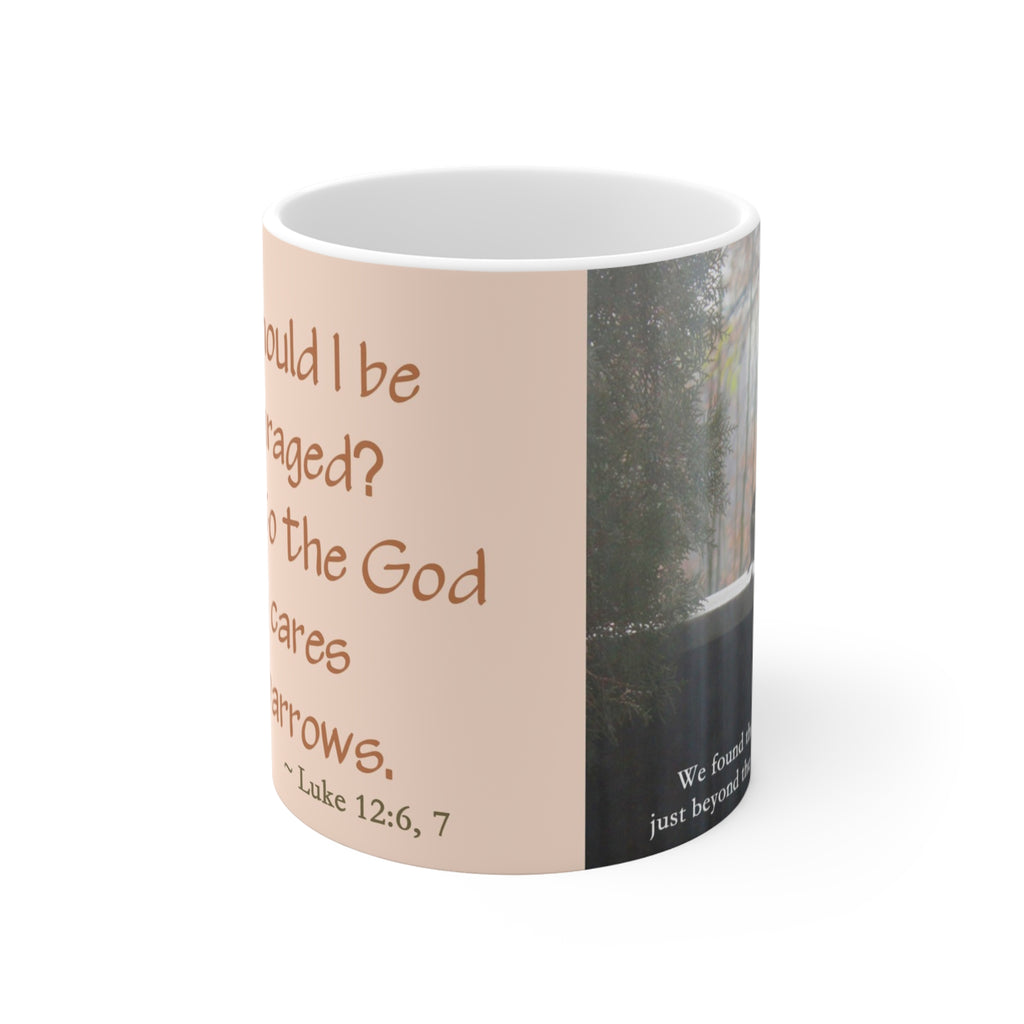 GOD WHO CARES For Sparrows Mug | Scripture Verse Luke 12:6-7